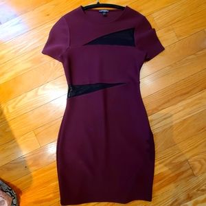 Express Purple Dress